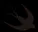13.webp